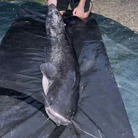 Wychwood Agitator Catfish Mat